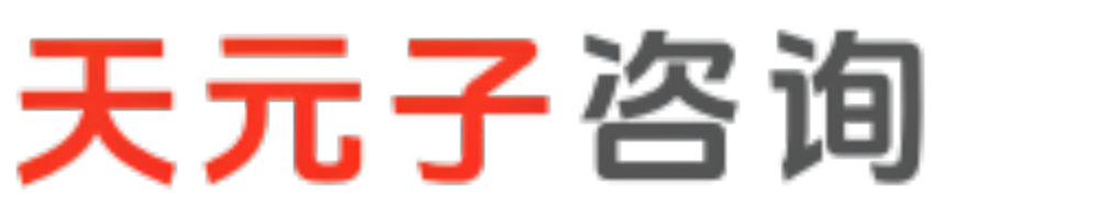 天元子咨询